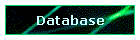 Database